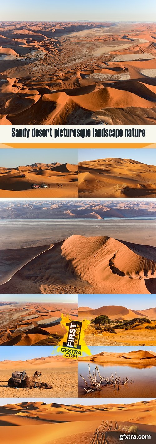 Sandy desert picturesque landscape nature