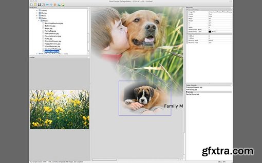 PhotoTangler 1.1 (Mac OS X)