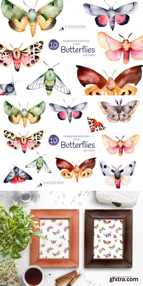 CM - Butterflies and moths 863983