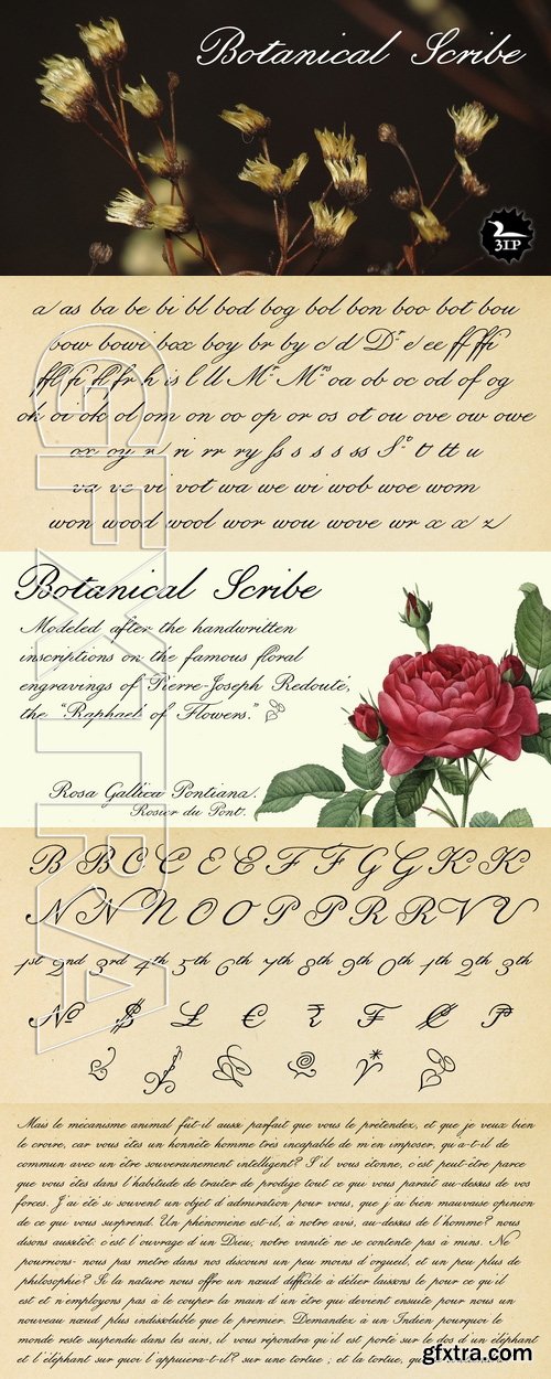 Botanical Scribe - 1 font: $39.00