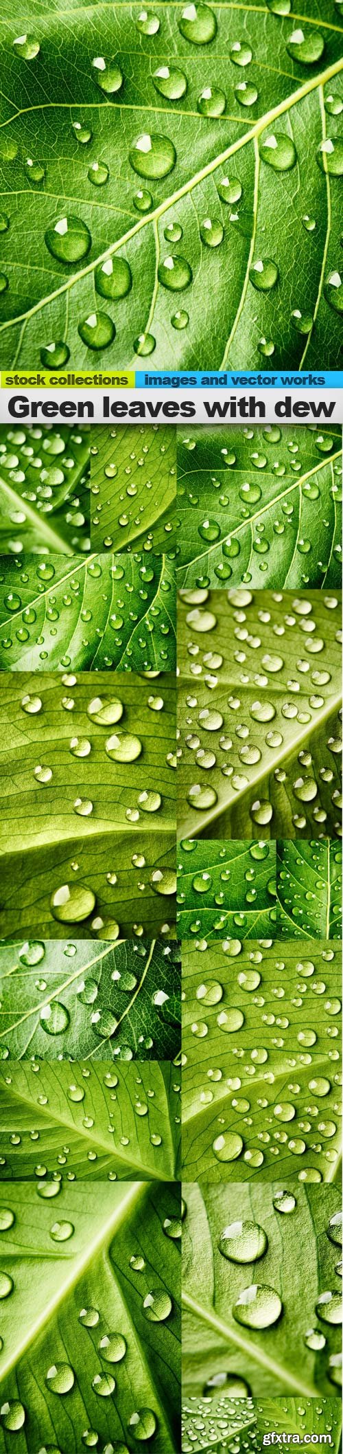 Green leaves with dew, 15 x UHQ JPEG