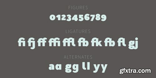 Merlo Neue Font Family - 18 Fonts