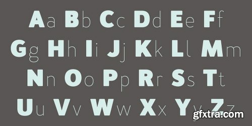 Merlo Neue Font Family - 18 Fonts