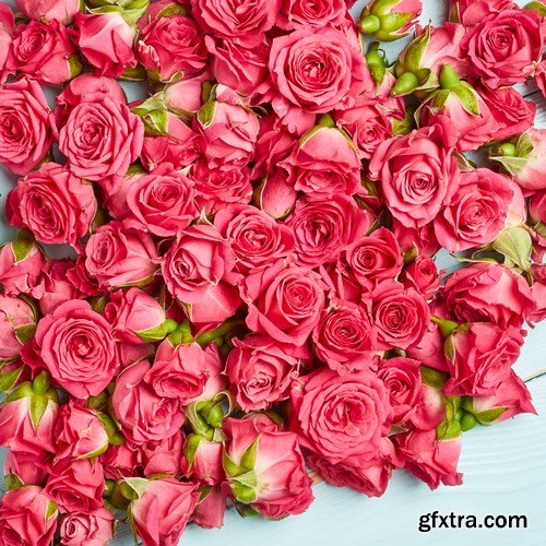 Beautiful Roses - 20xUHQ JPEG