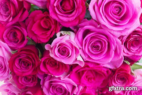 Beautiful Roses - 20xUHQ JPEG