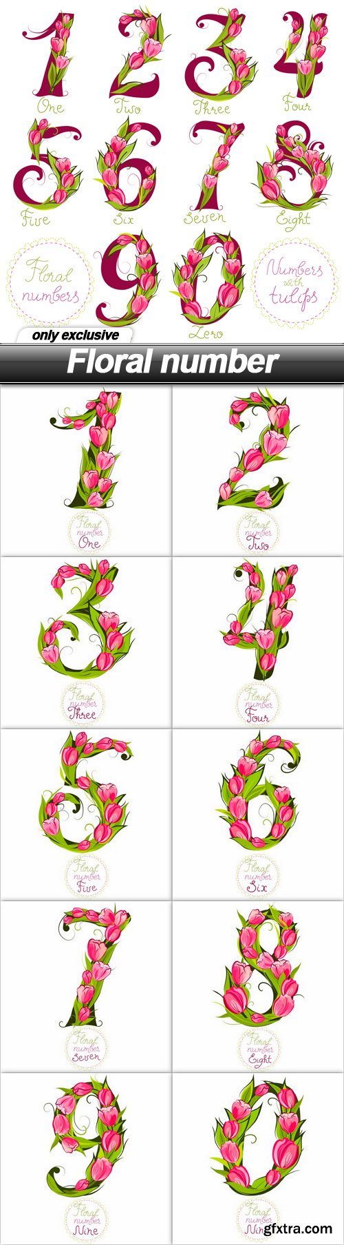 Floral number - 11 EPS