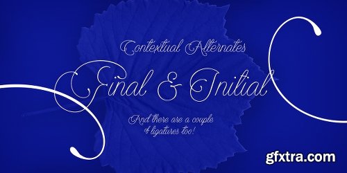 Encina Script Font Family - 2 Fonts