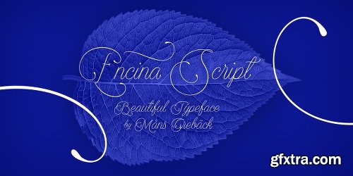 Encina Script Font Family - 2 Fonts