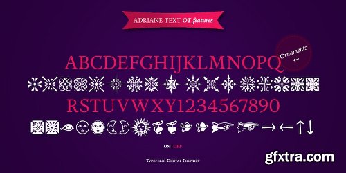 Adriane Text Font Family - 4 Fonts