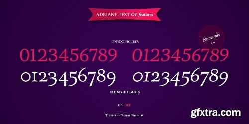 Adriane Text Font Family - 4 Fonts