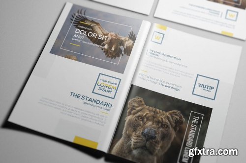 A4/A5 Brochure-Booklet Mockups