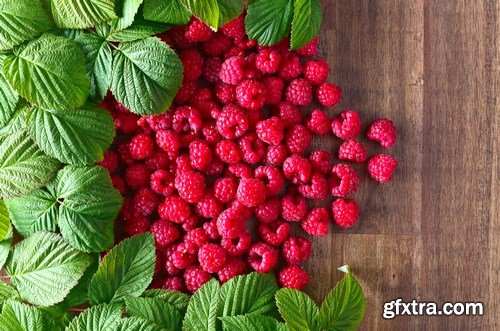 Raspberry Berries - 18xUHQ JPEG