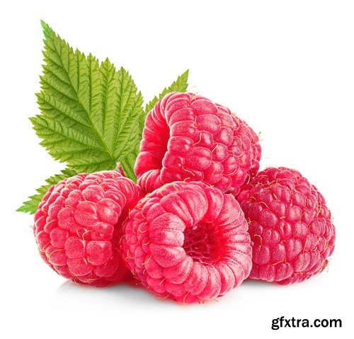 Raspberry Berries - 18xUHQ JPEG