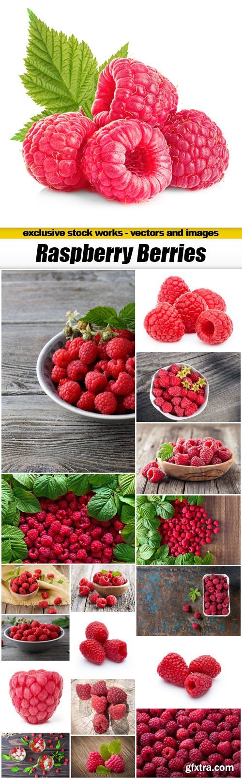 Raspberry Berries - 18xUHQ JPEG