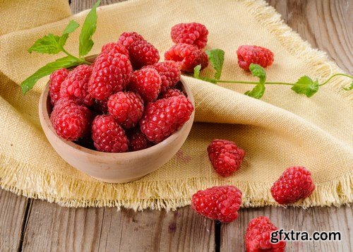 Raspberry Berries - 18xUHQ JPEG