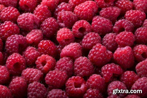 Raspberry Berries - 18xUHQ JPEG