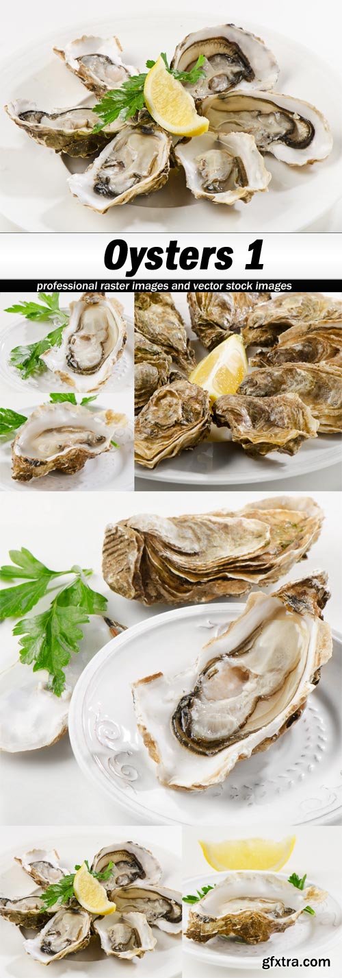 Oysters 1 - 6 UHQ JPEG