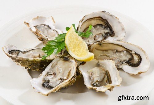 Oysters 1 - 6 UHQ JPEG