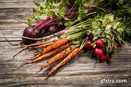 Fresh vegetables - 5 UHQ JPEG