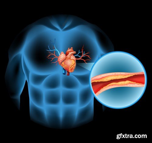 Structure and Human Organs 3 - 20xEPS