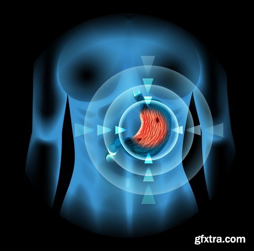 Structure and Human Organs 3 - 20xEPS