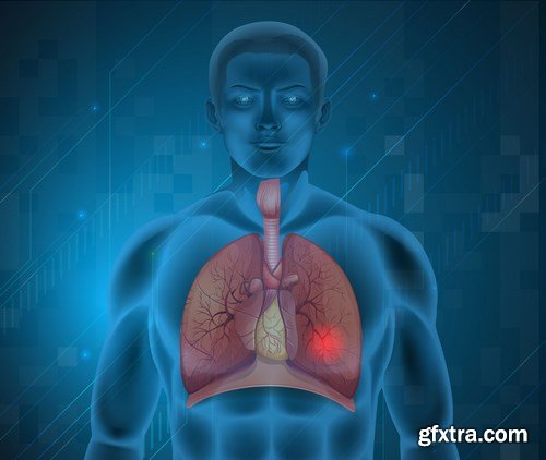 Structure and Human Organs 3 - 20xEPS