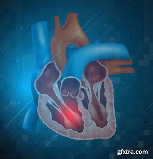 Structure and Human Organs 3 - 20xEPS