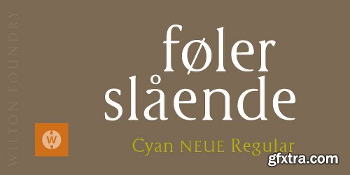 Cyan Neue Font Family - 2 Fonts