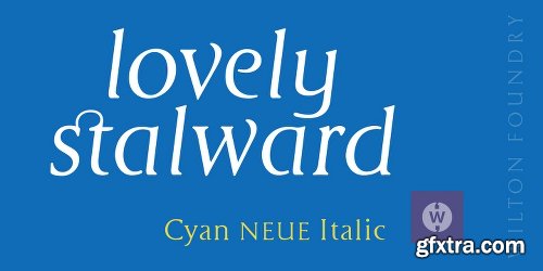 Cyan Neue Font Family - 2 Fonts