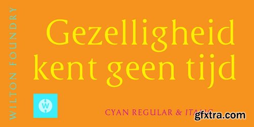 Cyan Neue Font Family - 2 Fonts