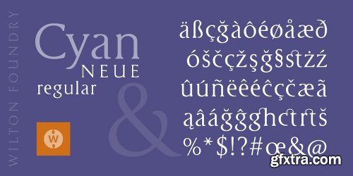 Cyan Neue Font Family - 2 Fonts