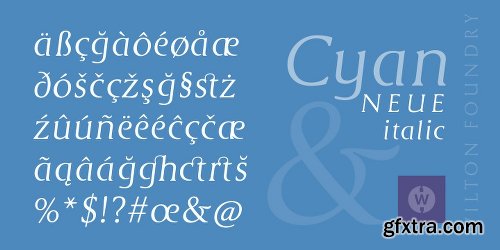 Cyan Neue Font Family - 2 Fonts