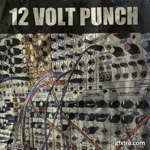 Goldbaby 12 Volt Punch Modular Drums and FX MULTiFORMAT-FANTASTiC