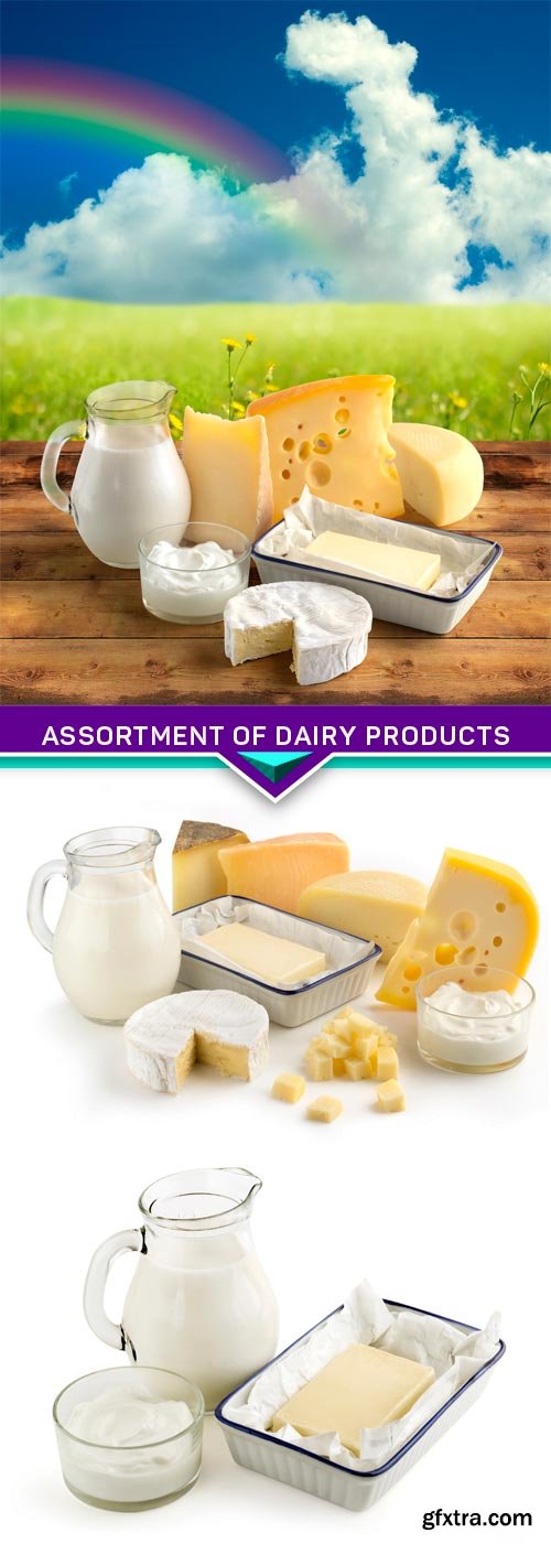 Assortment of dairy products 3X JPEG