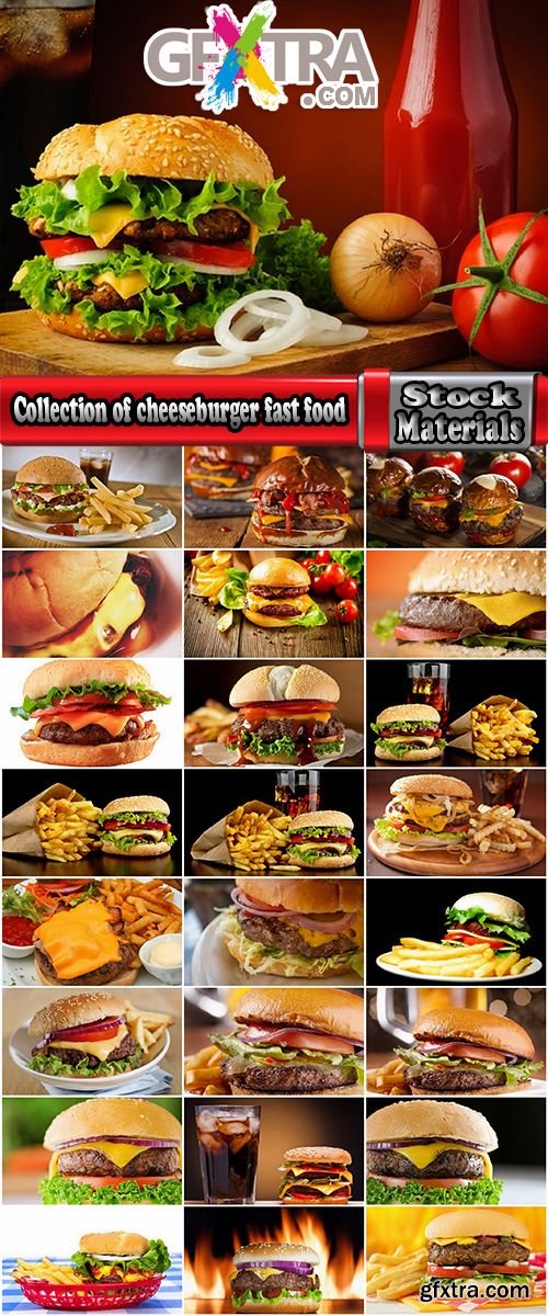 Collection of cheeseburger fast food hamburger sandwich 25 HQ Jpeg