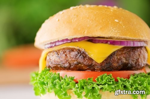 Collection of cheeseburger fast food hamburger sandwich 25 HQ Jpeg