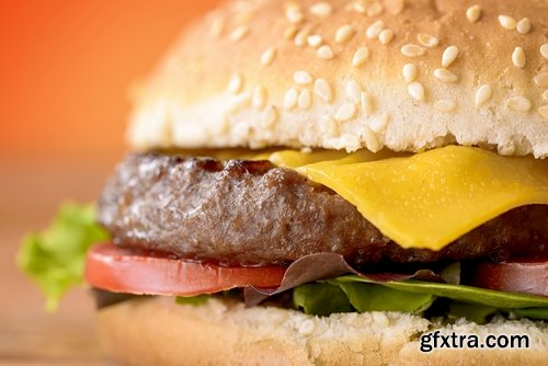 Collection of cheeseburger fast food hamburger sandwich 25 HQ Jpeg