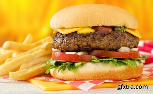 Collection of cheeseburger fast food hamburger sandwich 25 HQ Jpeg