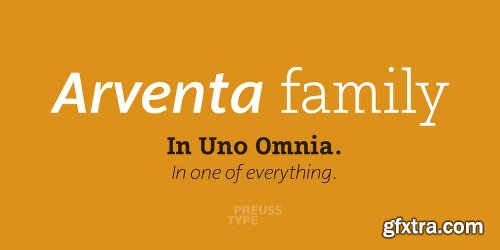 Arventa Slab Pro Font Family - 14 Fonts