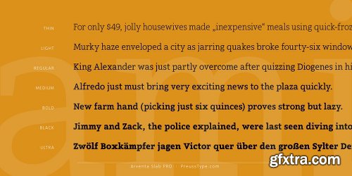 Arventa Slab Pro Font Family - 14 Fonts