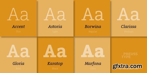 Arventa Slab Pro Font Family - 14 Fonts