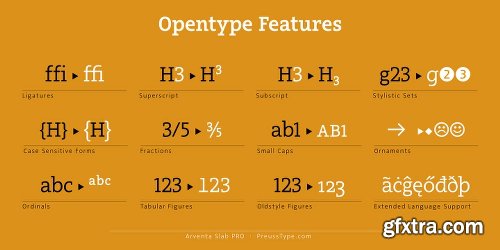 Arventa Slab Pro Font Family - 14 Fonts