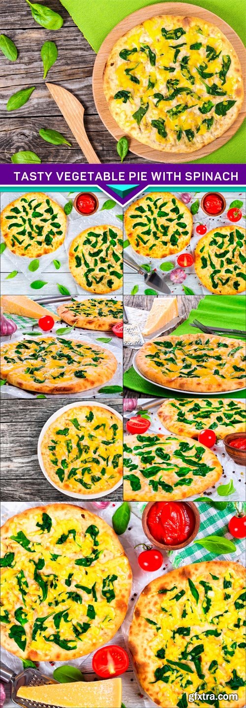 Tasty Vegetable pie with spinach, onion and cheese 8X JPEG