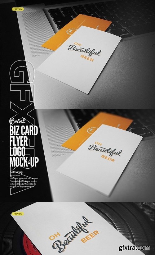 Business Cards Flyer Logo Mock-Up