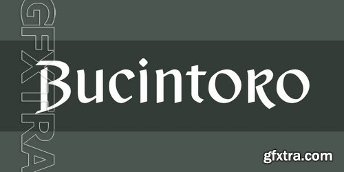 Bucintoro - 1 font: $59.90