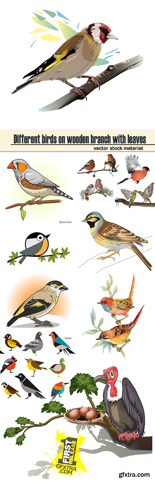 Different birds on wooden branch with leaves