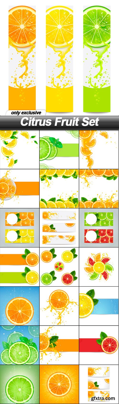 Citrus Fruit Set - 22 EPS