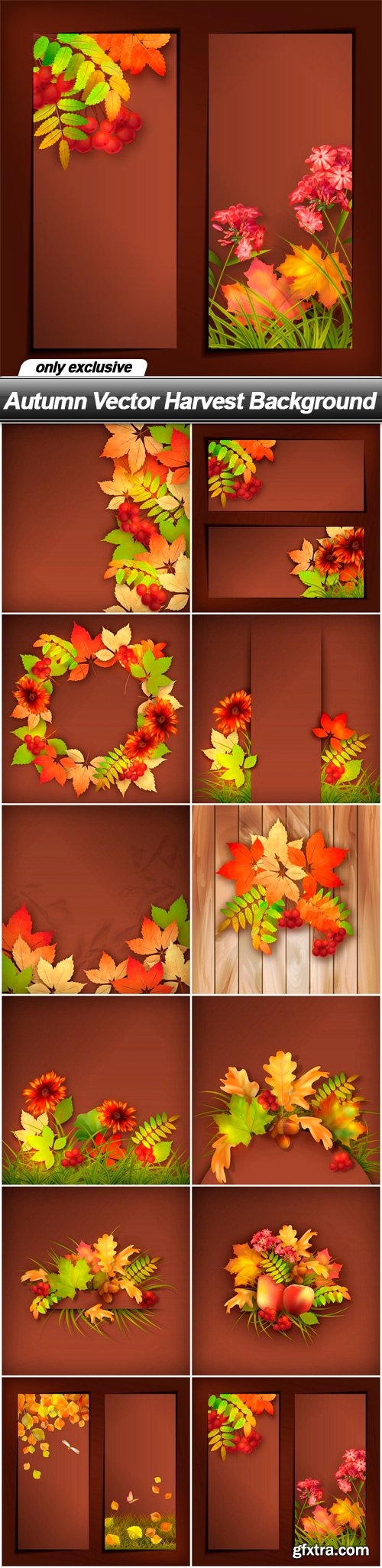 Autumn Vector Harvest Background - 12 EPS