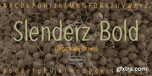 Slenderz Font Family - 3 Fonts