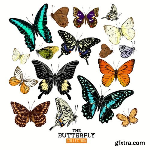 Beautiful Butterflies 3 - 22xEPS